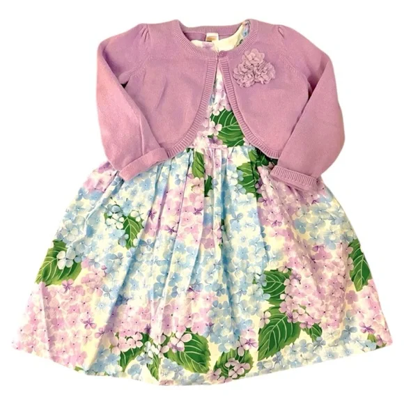 Gymboree 4T Hydrangea Dress and Cardigan - Picture 1 of 5